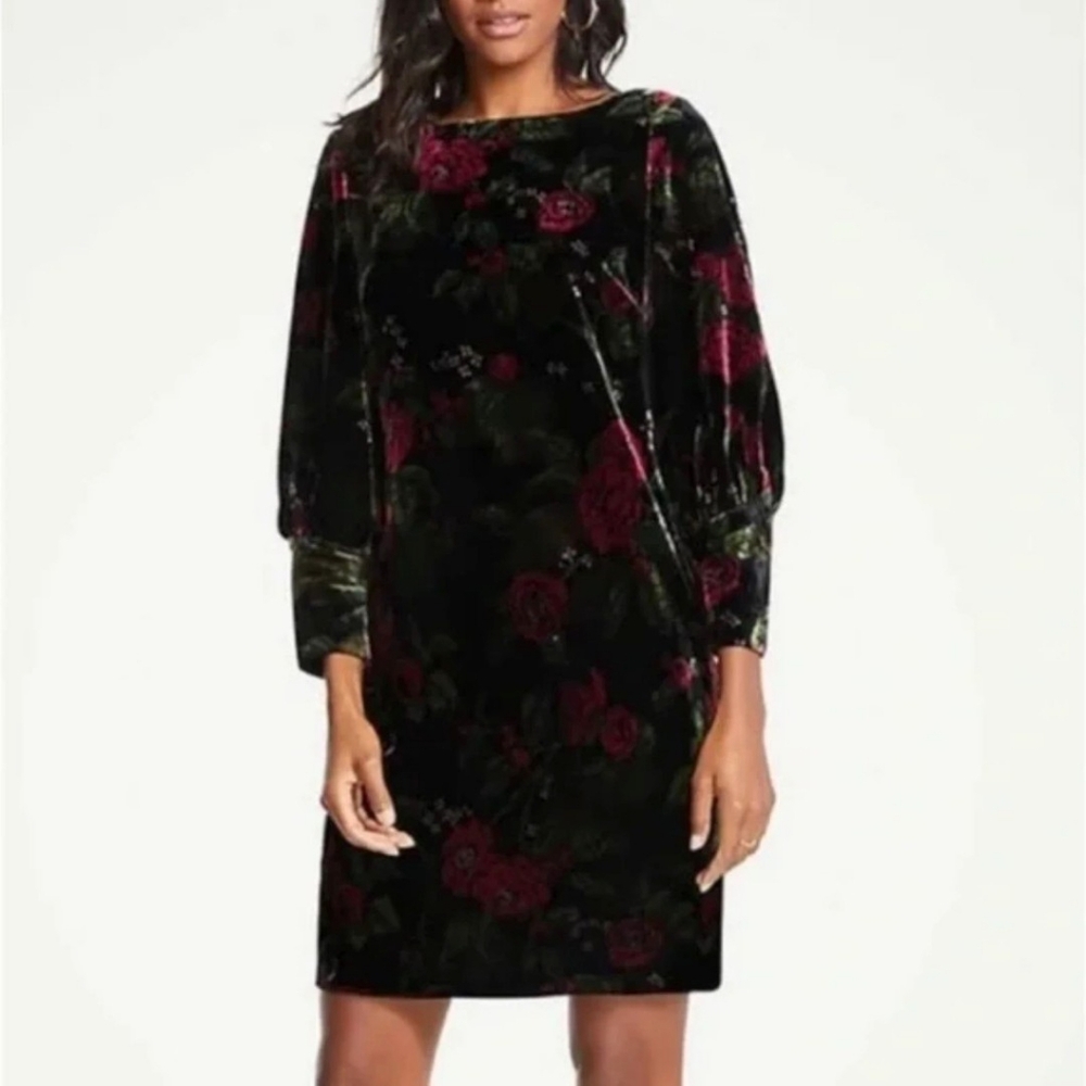 Ann Taylor Velvet Floral Rose Long Sleeve Shift Dress Black/Red/Green Size 12